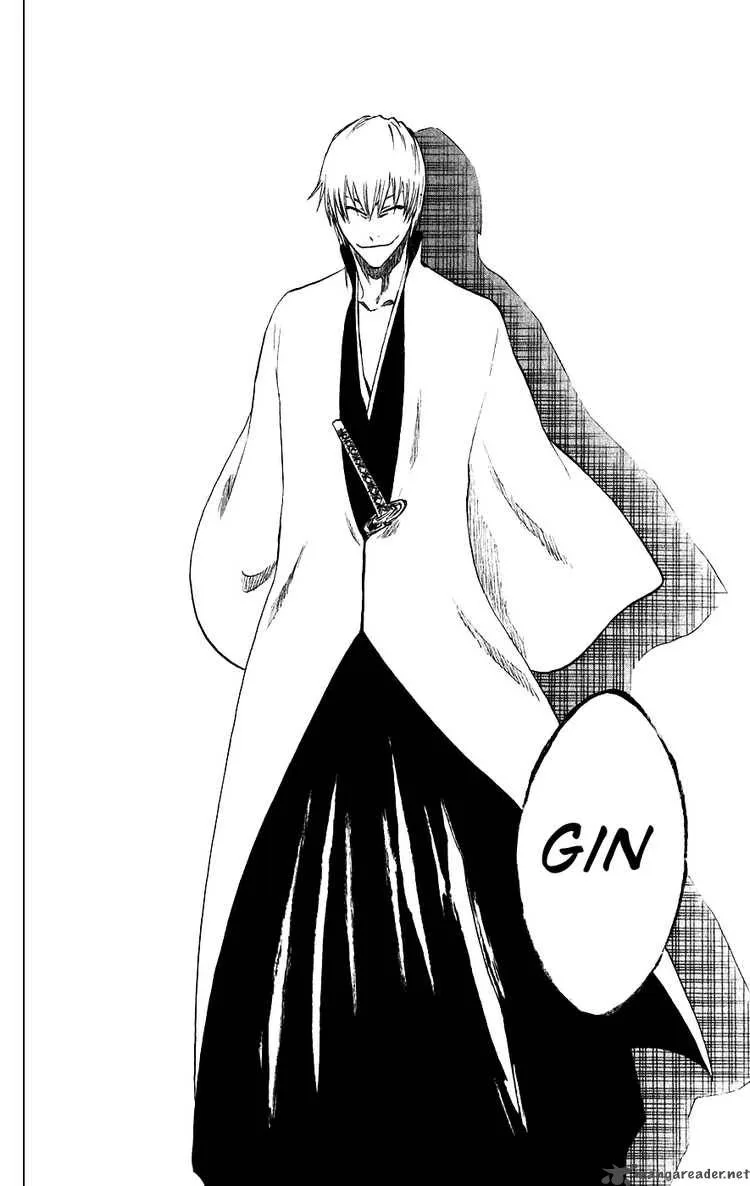 Bleach Chapter 213 page 18