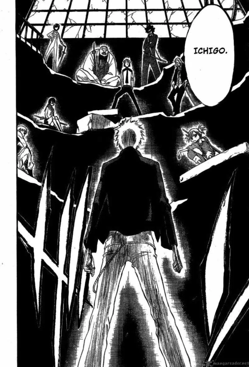 Bleach Chapter 214 page 20