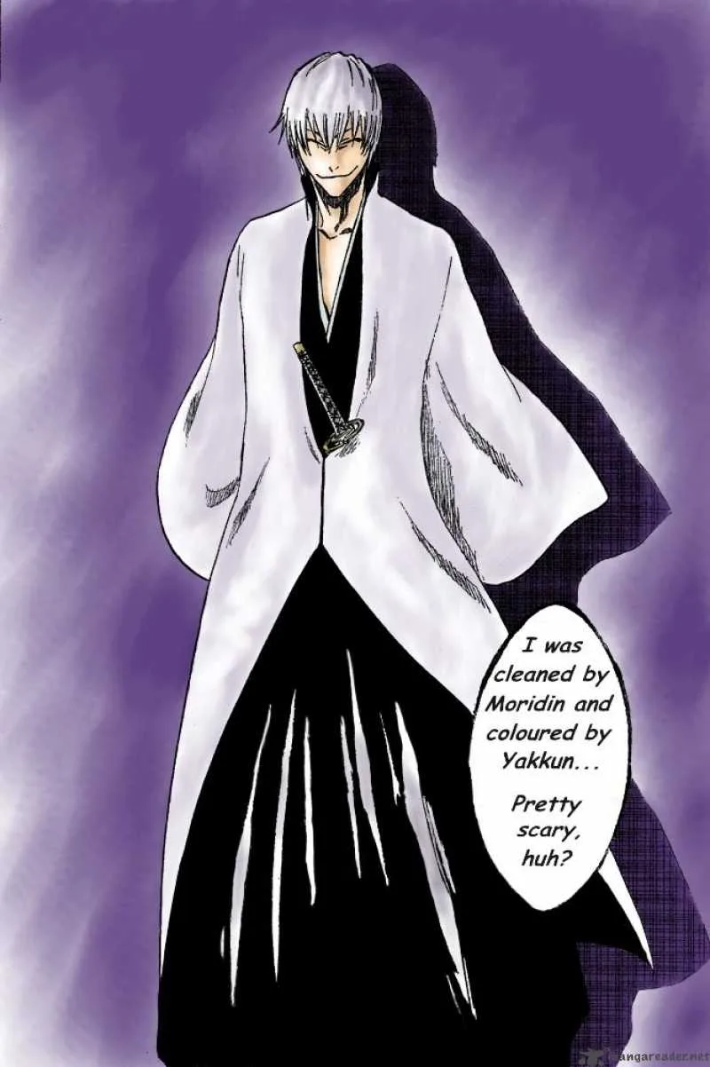 Bleach Chapter 214 page 25