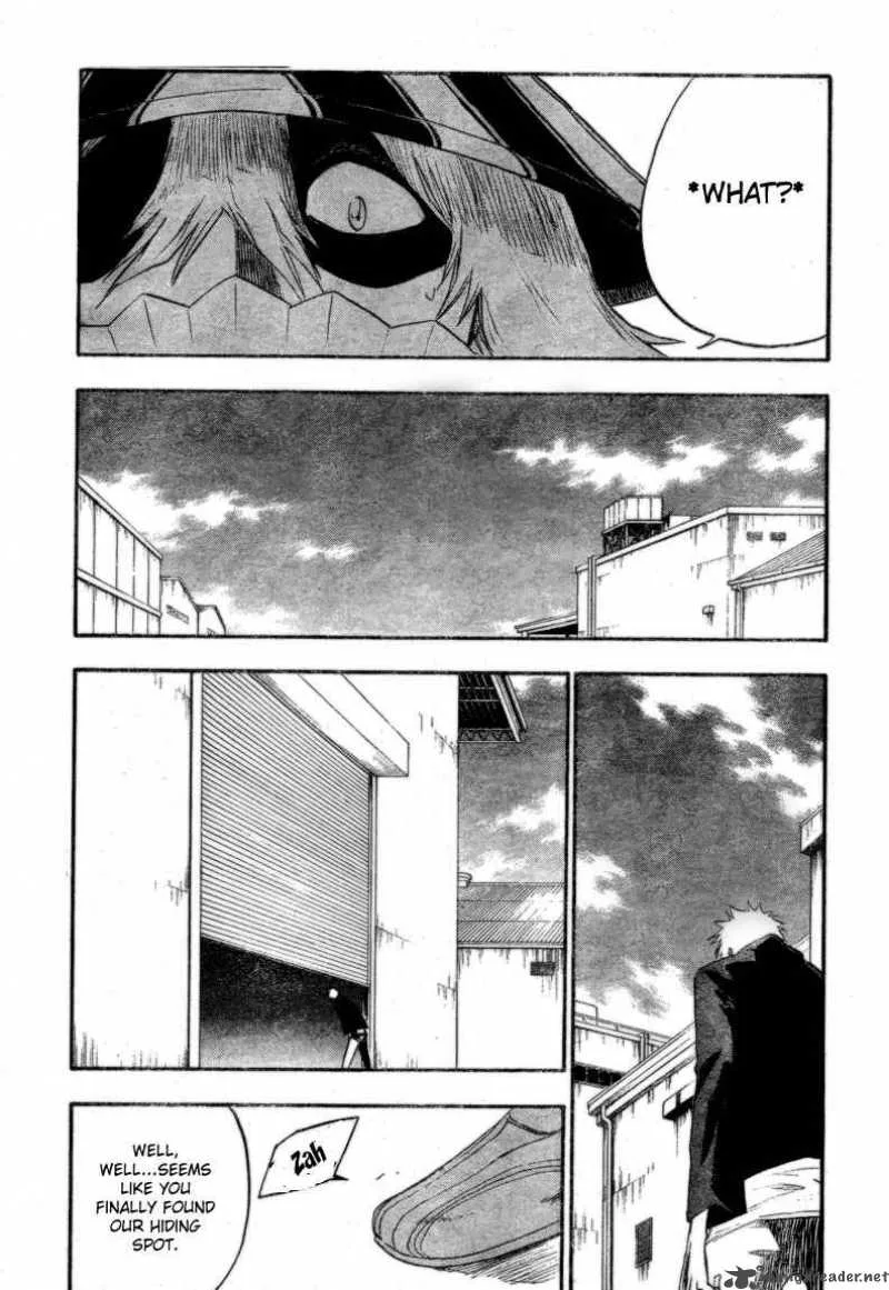 Bleach Chapter 214 page 19