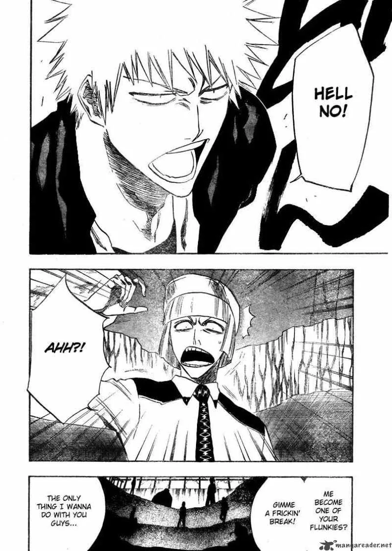 Bleach Chapter 215 page 5