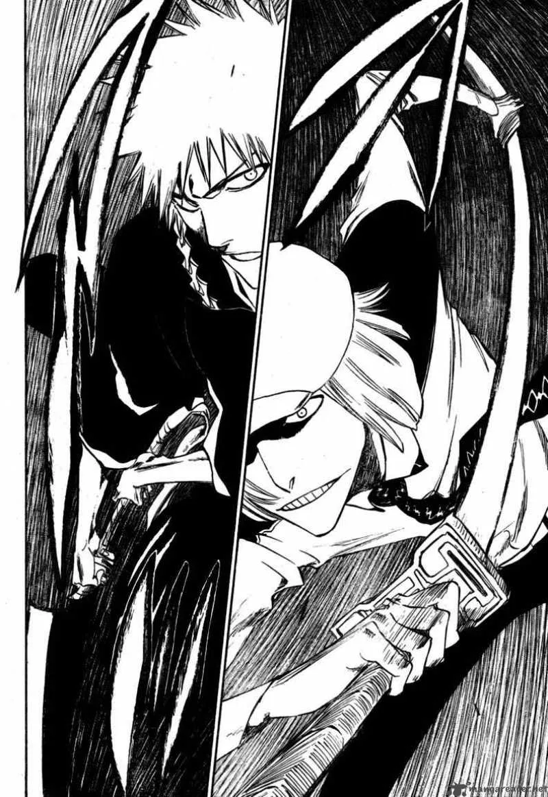 Bleach Chapter 215 page 9