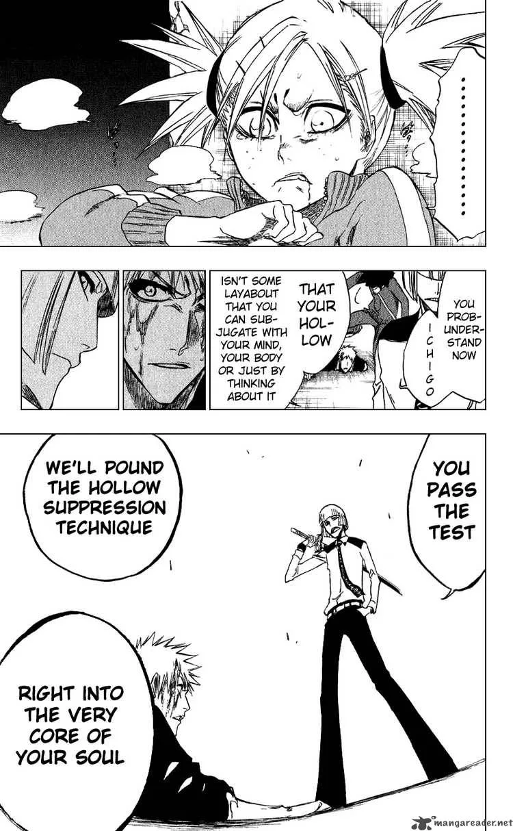 Bleach Chapter 216 page 17