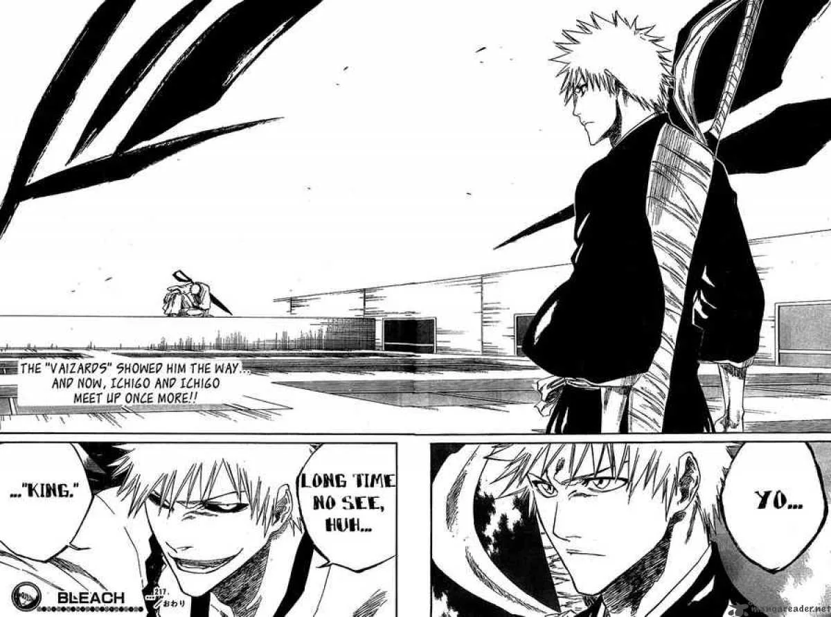 Bleach Chapter 217 page 19