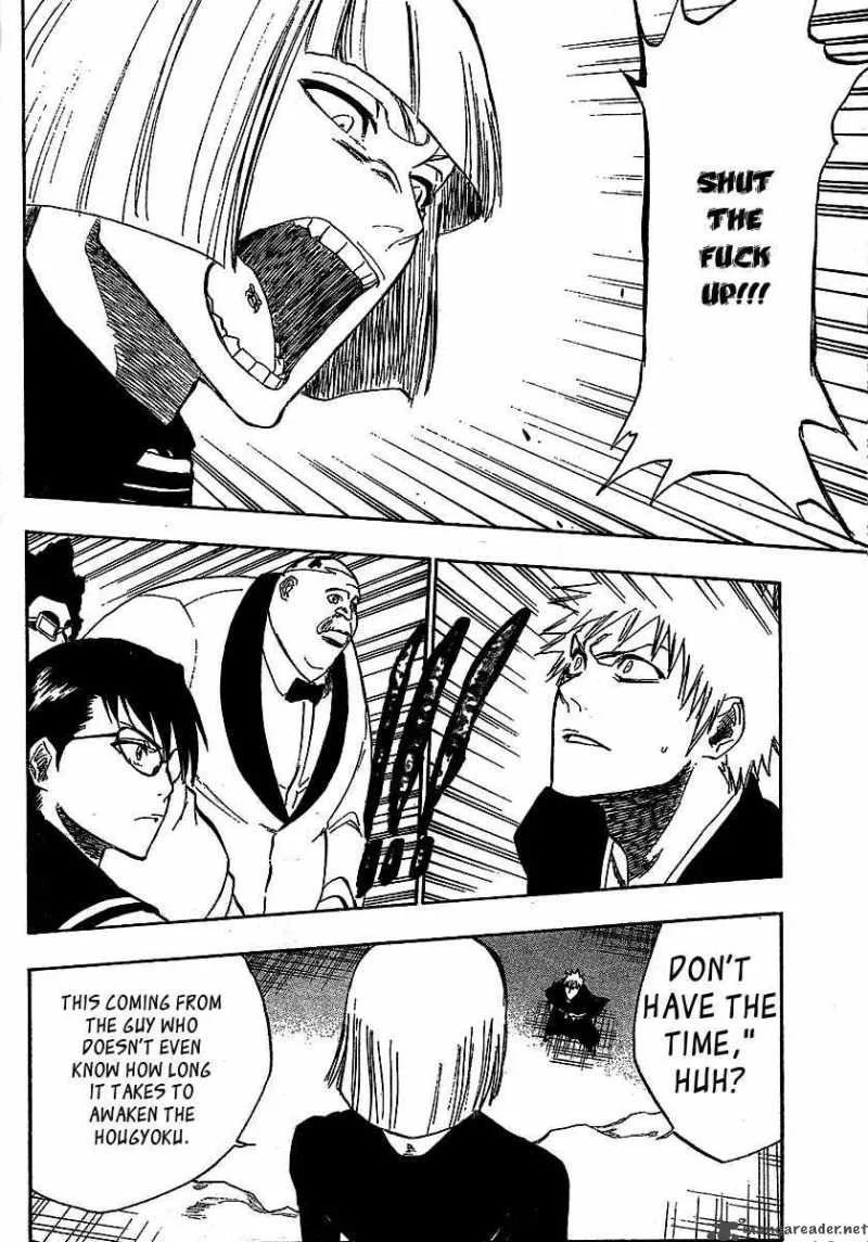 Bleach Chapter 217 page 13