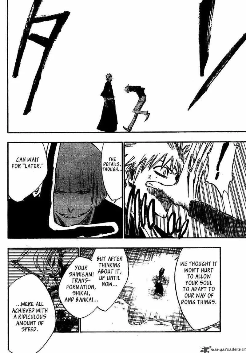 Bleach Chapter 217 page 15