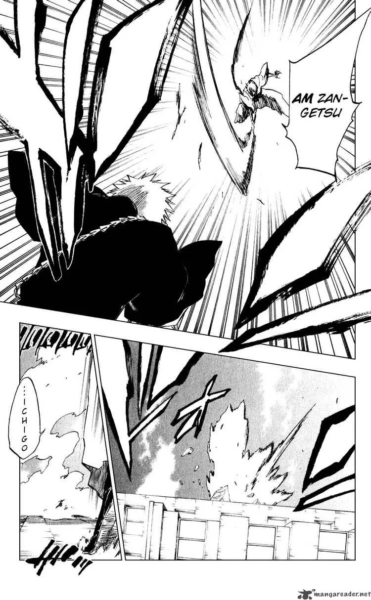 Bleach Chapter 218 page 18