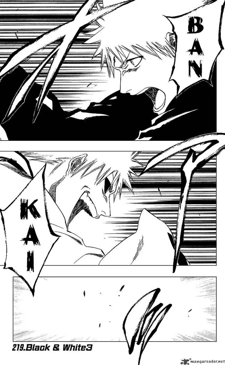 Bleach Chapter 219 page 1