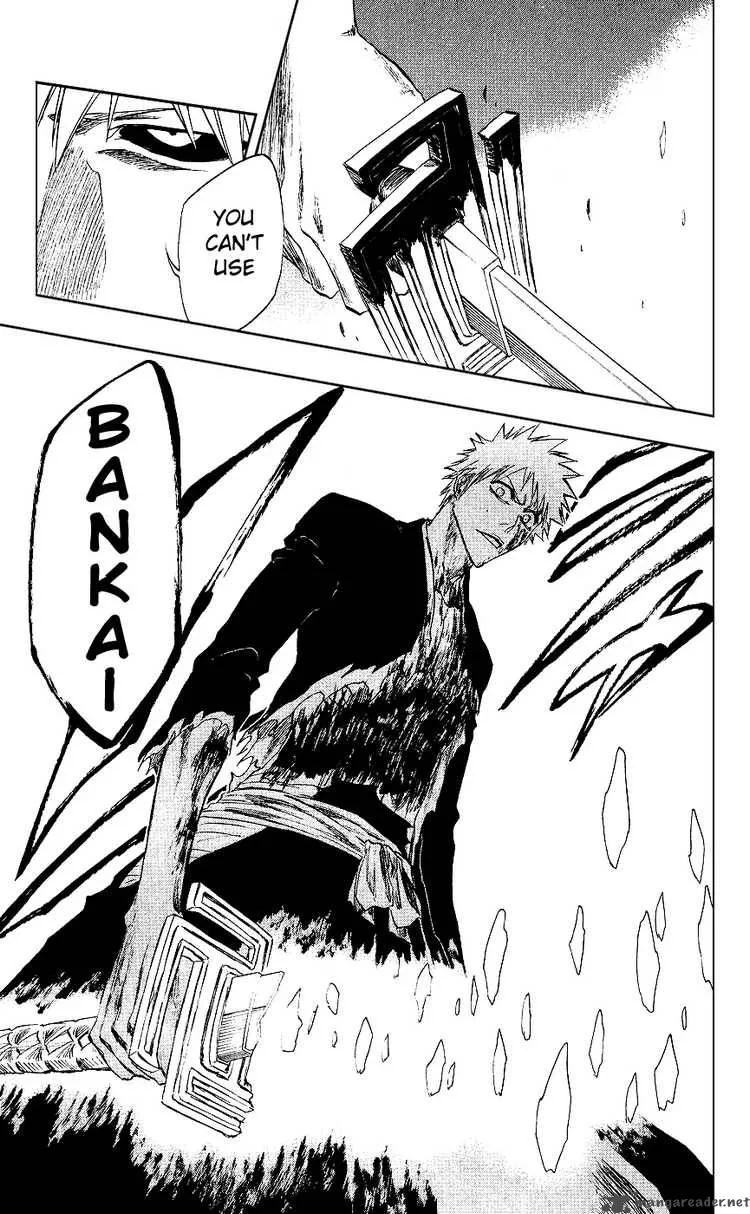 Bleach Chapter 219 page 17