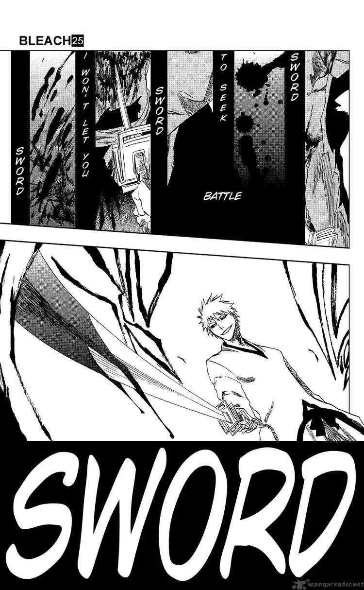 Bleach Chapter 220 page 17