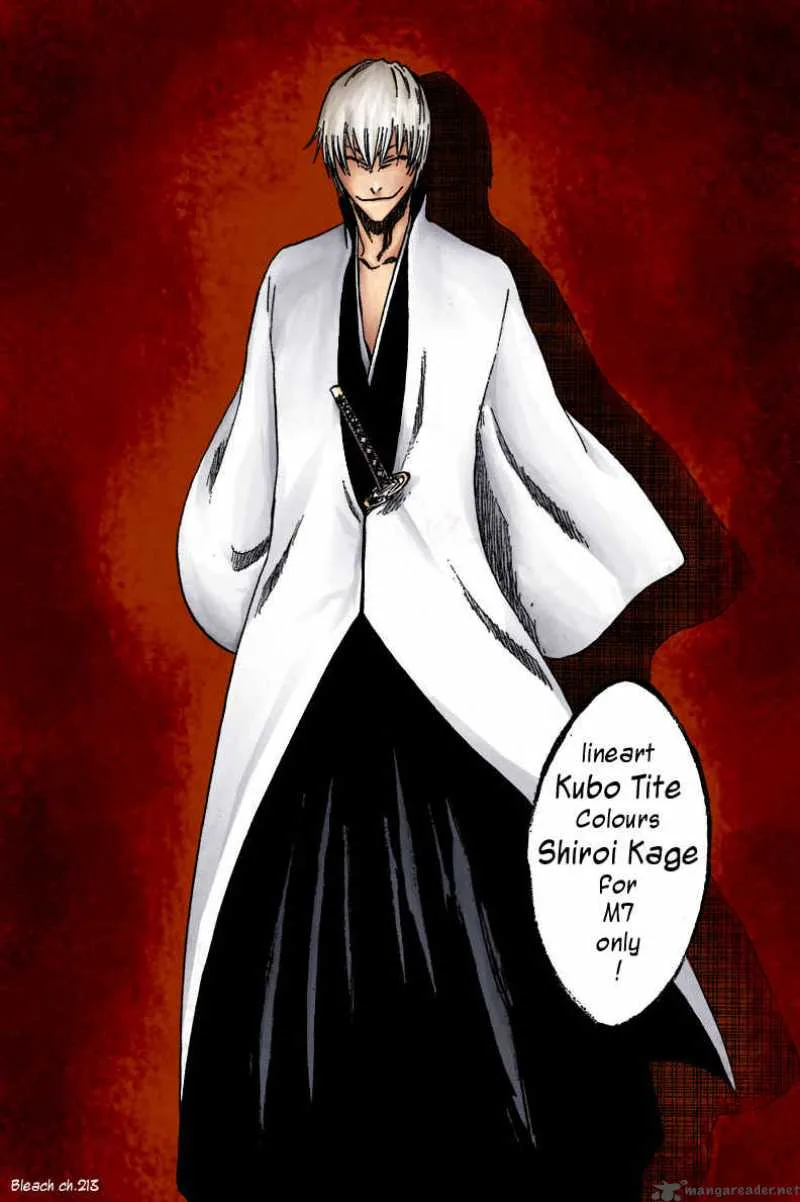Bleach Chapter 221 page 1