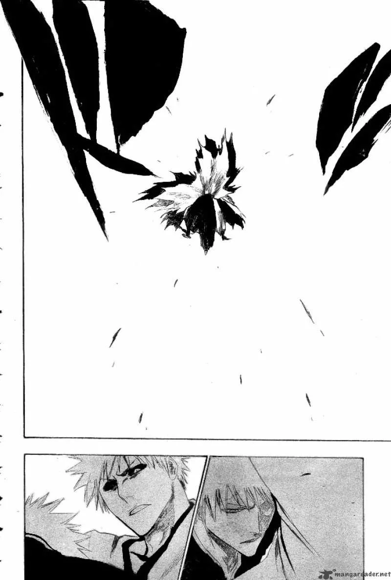 Bleach Chapter 221 page 18