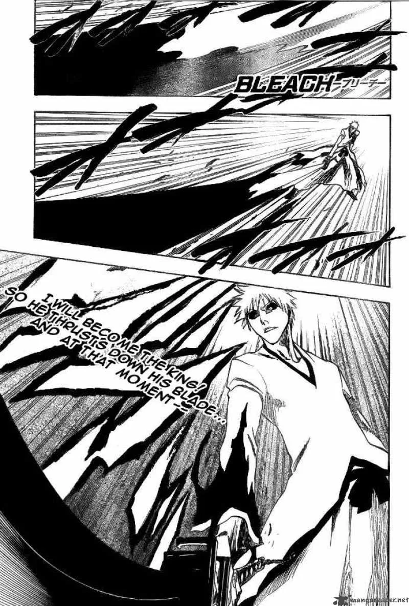 Bleach Chapter 221 page 5
