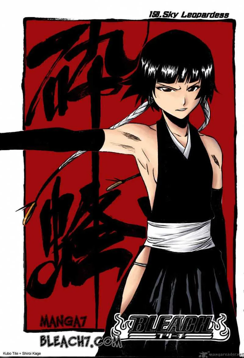 Bleach Chapter 221 page 24