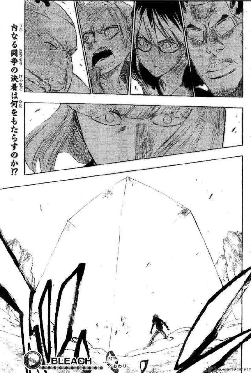 Bleach Chapter 221 page 23