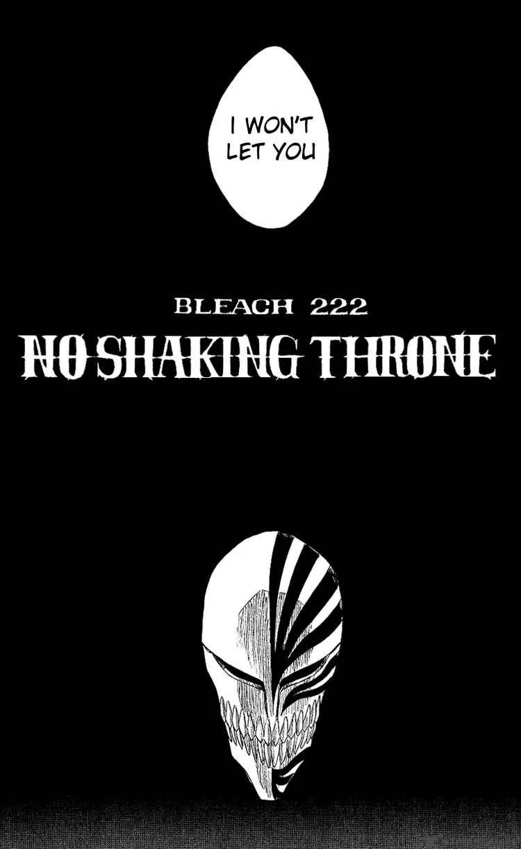 Bleach Chapter 222 page 14