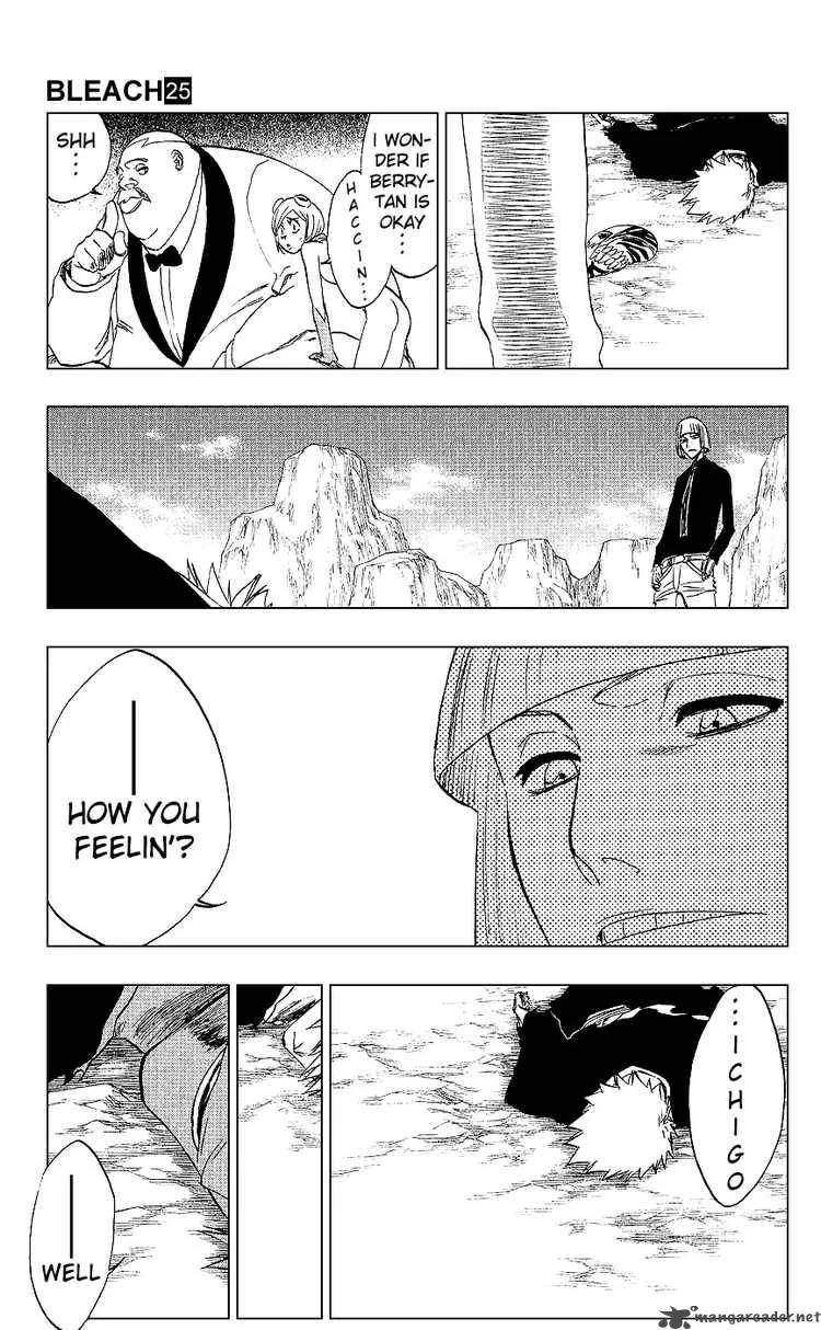 Bleach Chapter 222 page 11