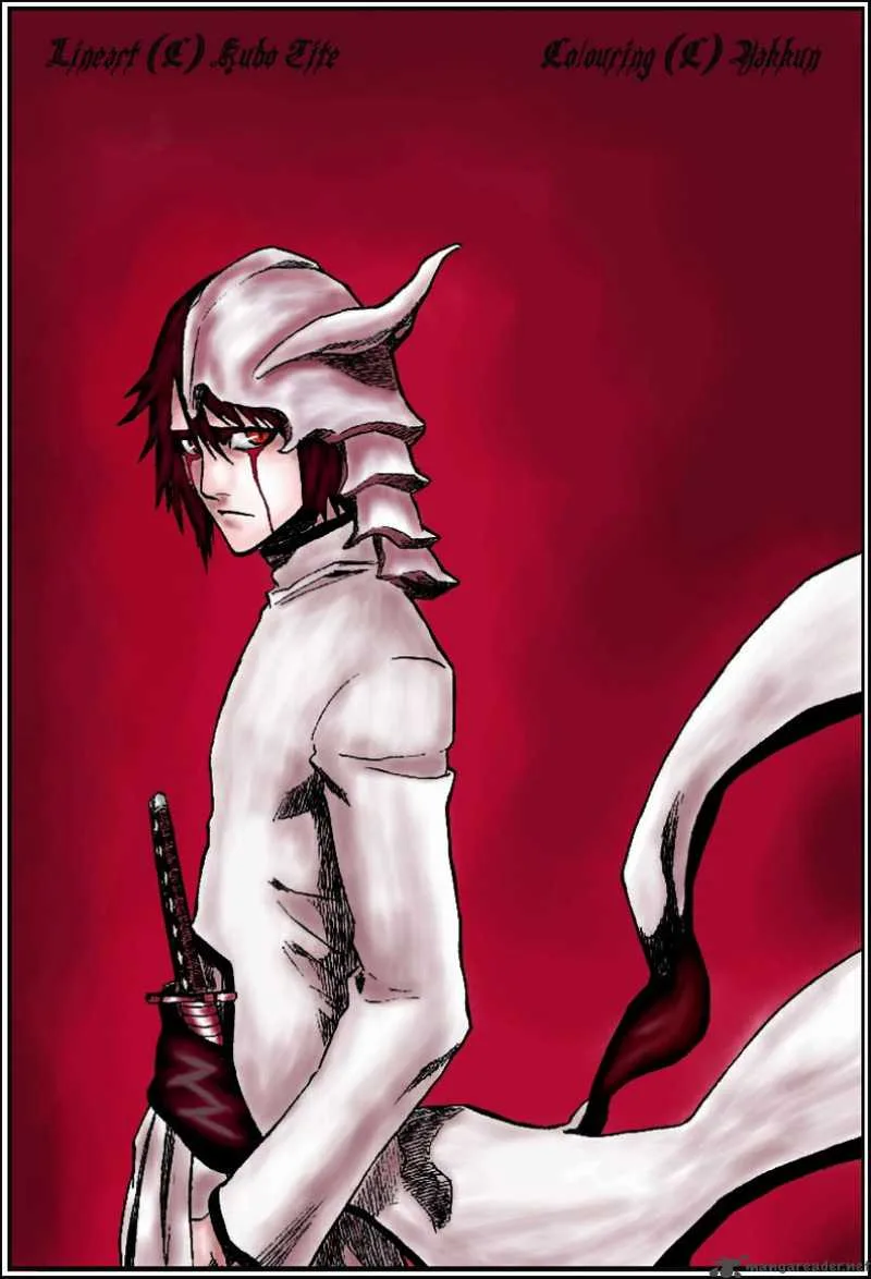 Bleach Chapter 224 page 2