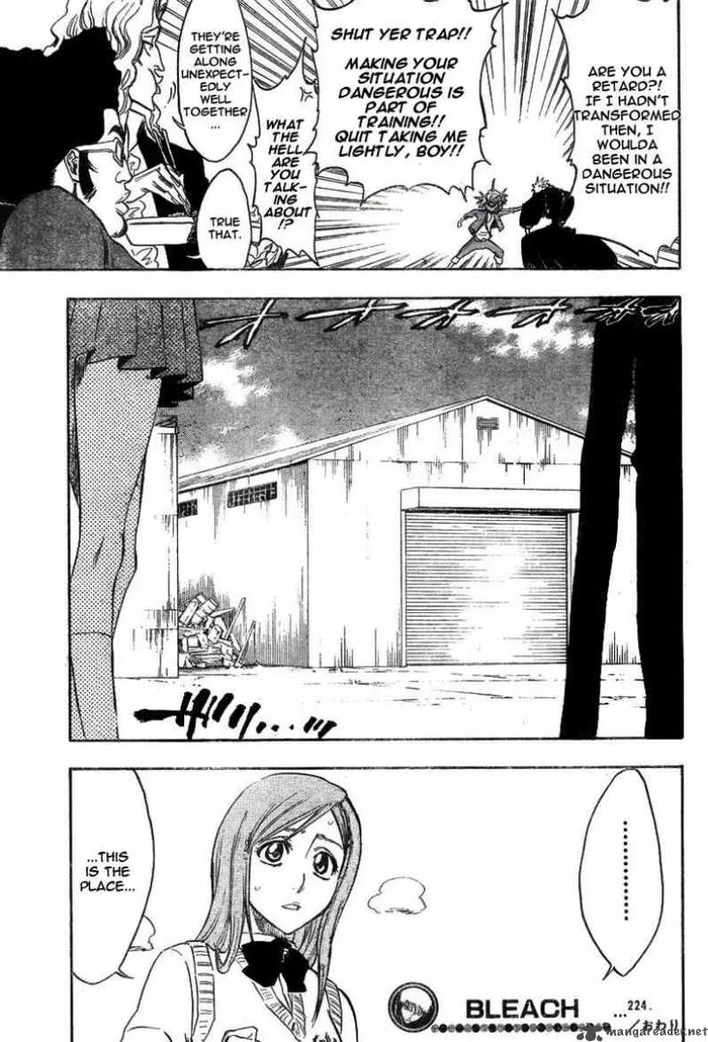 Bleach Chapter 224 page 22