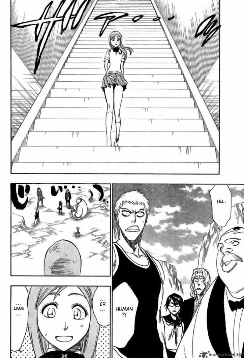 Bleach Chapter 225 page 16