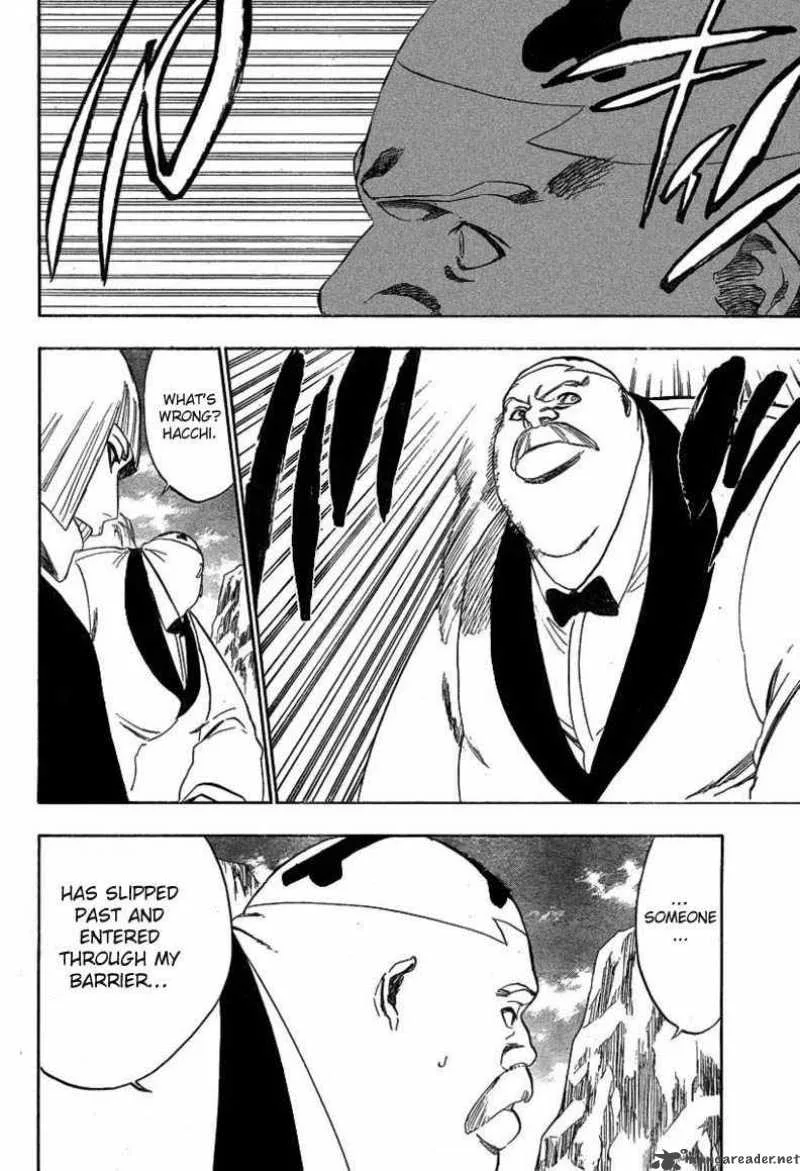 Bleach Chapter 225 page 14