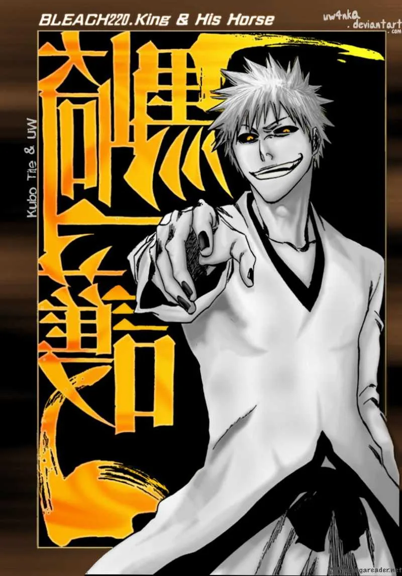 Bleach Chapter 225 page 1