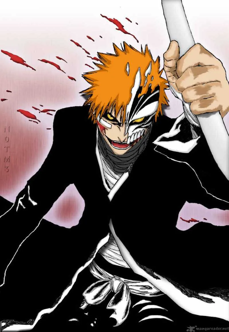 Bleach Chapter 225 page 24