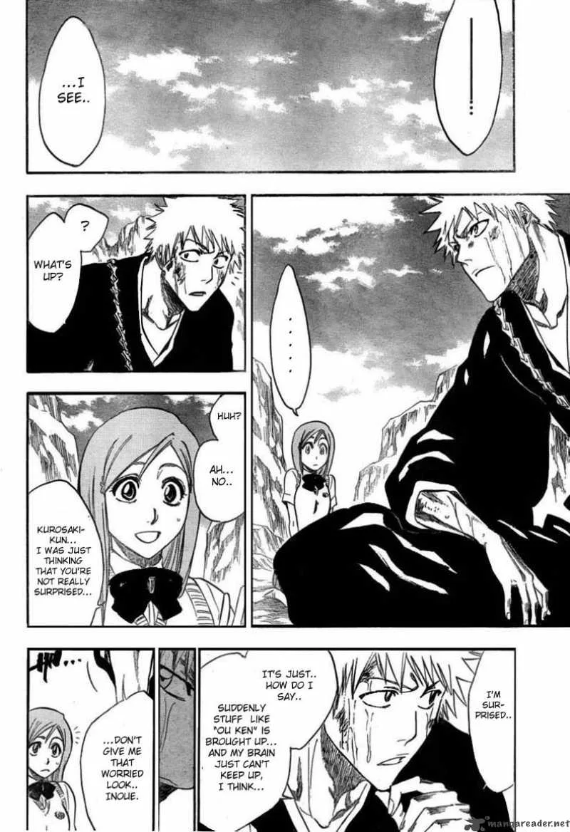 Bleach Chapter 225 page 18
