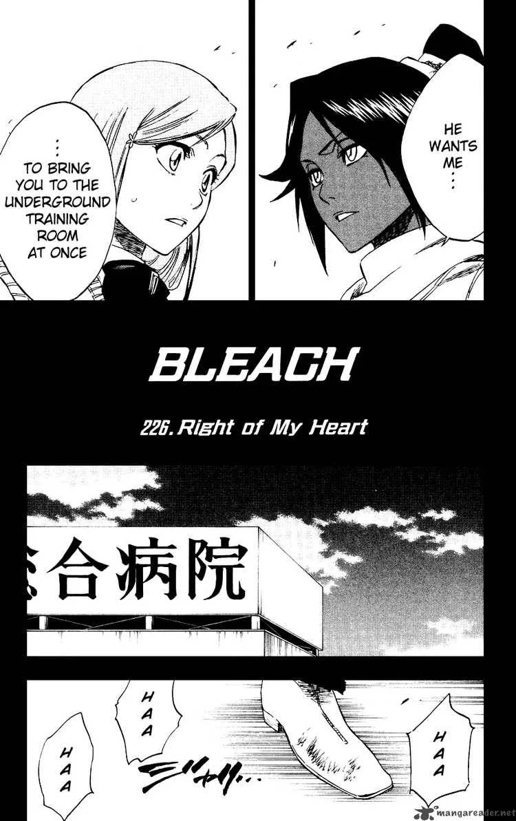 Bleach Chapter 226 page 5