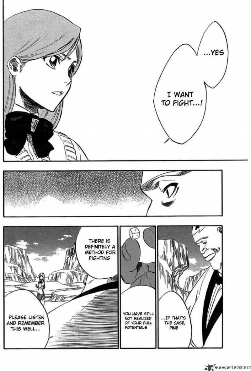 Bleach Chapter 228 page 19