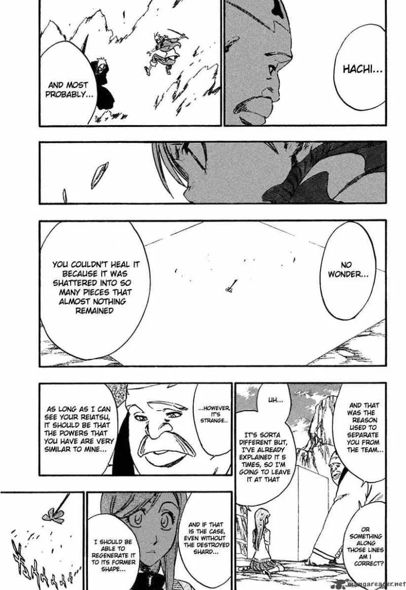 Bleach Chapter 228 page 16