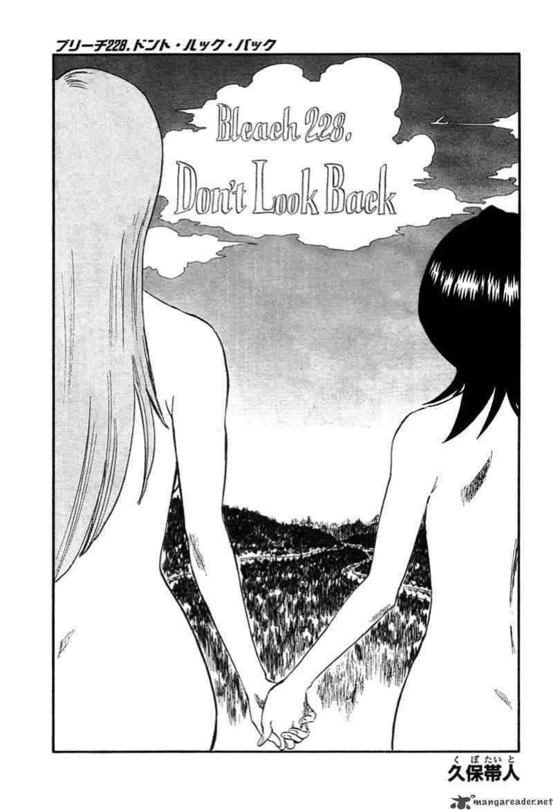 Bleach Chapter 228 page 6