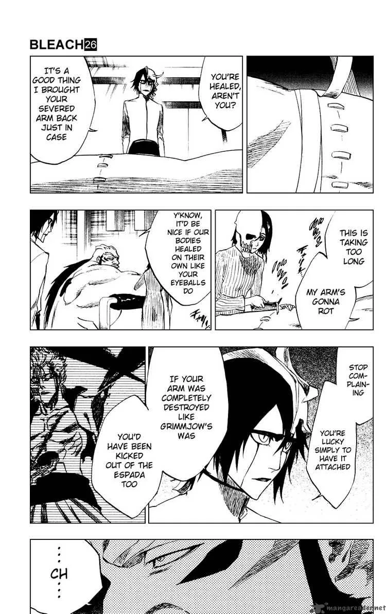 Bleach Chapter 229 page 3