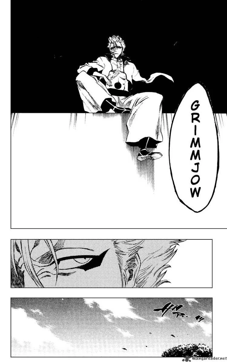 Bleach Chapter 229 page 17