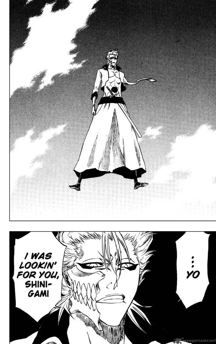 Bleach Chapter 230 page 17