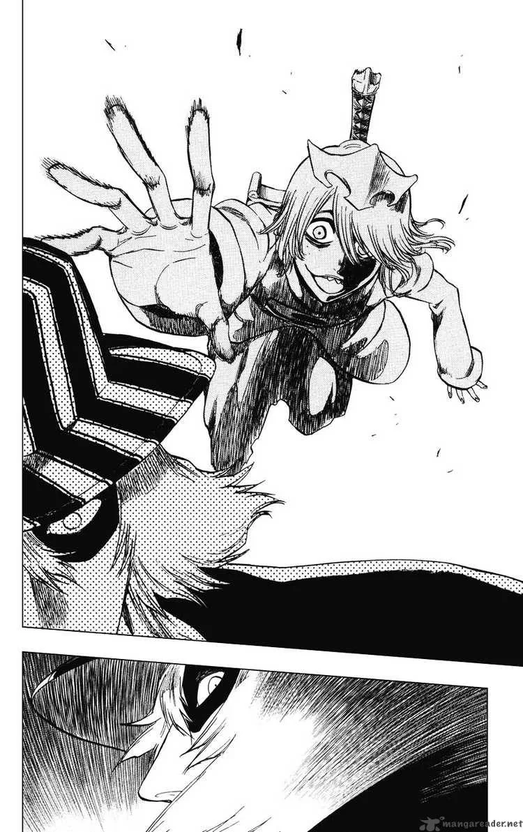 Bleach Chapter 233 page 14