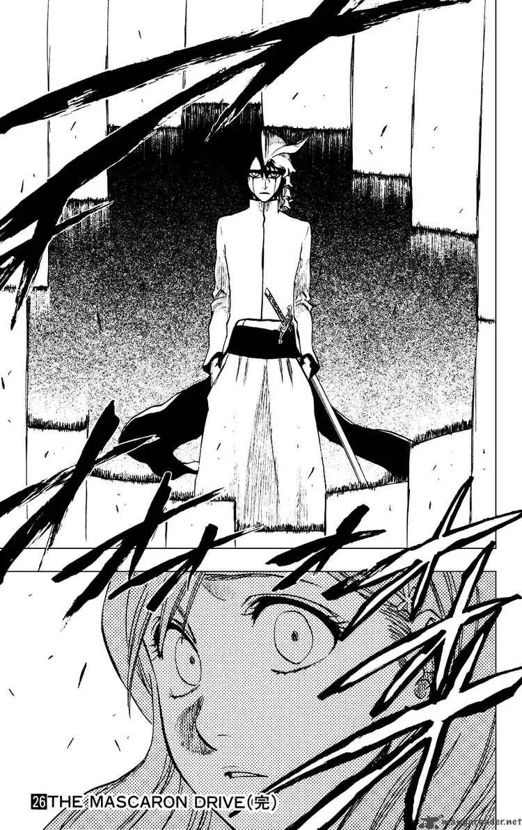 Bleach Chapter 233 page 19