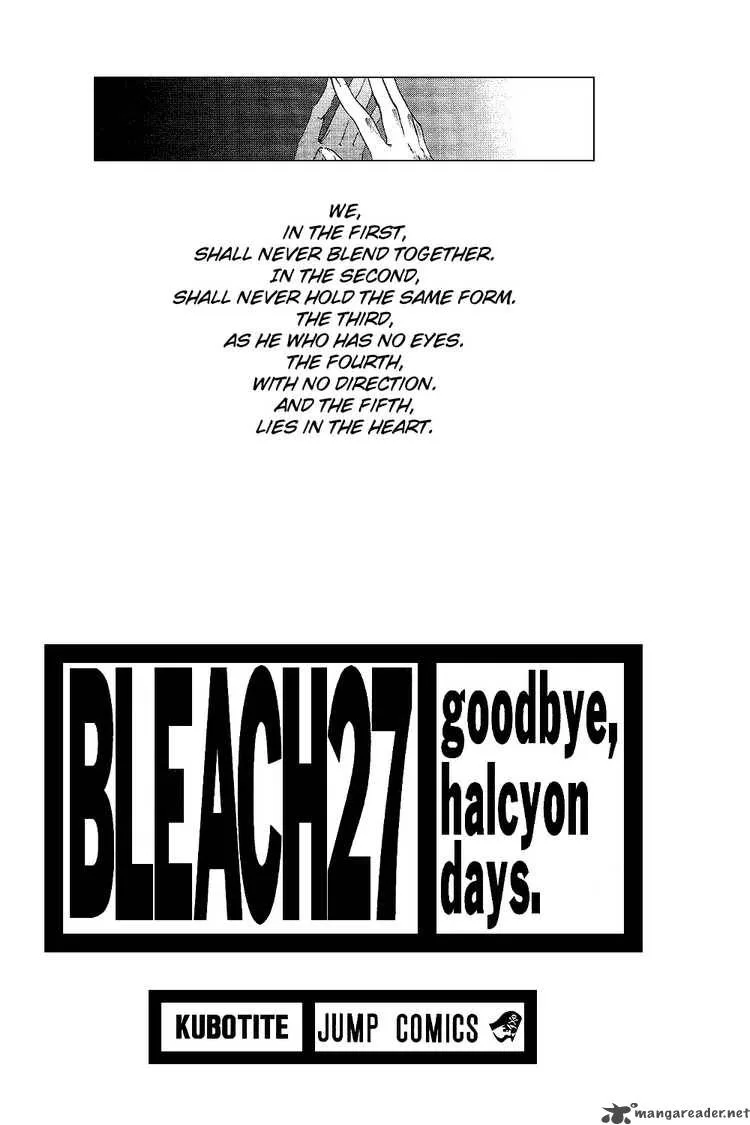 Bleach Chapter 234 page 3