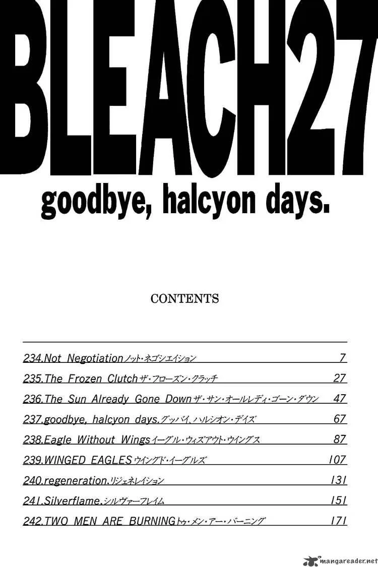 Bleach Chapter 234 page 5