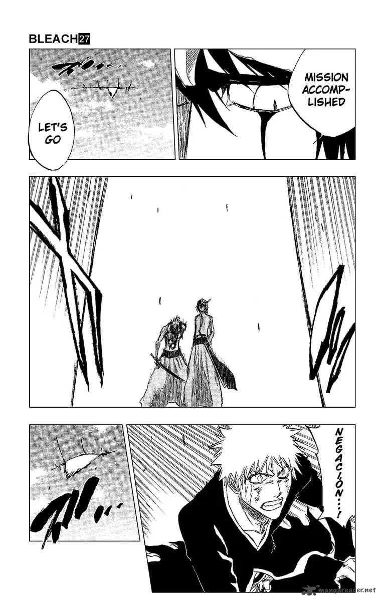 Bleach Chapter 236 page 15