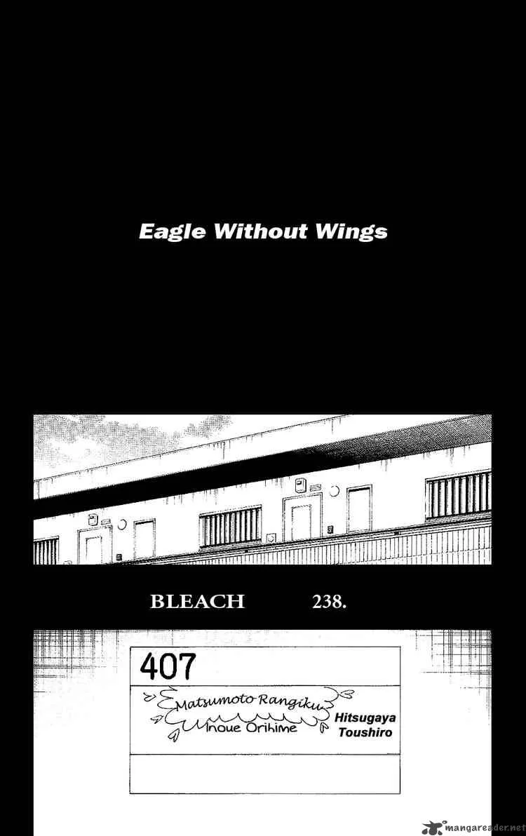 Bleach Chapter 238 page 4