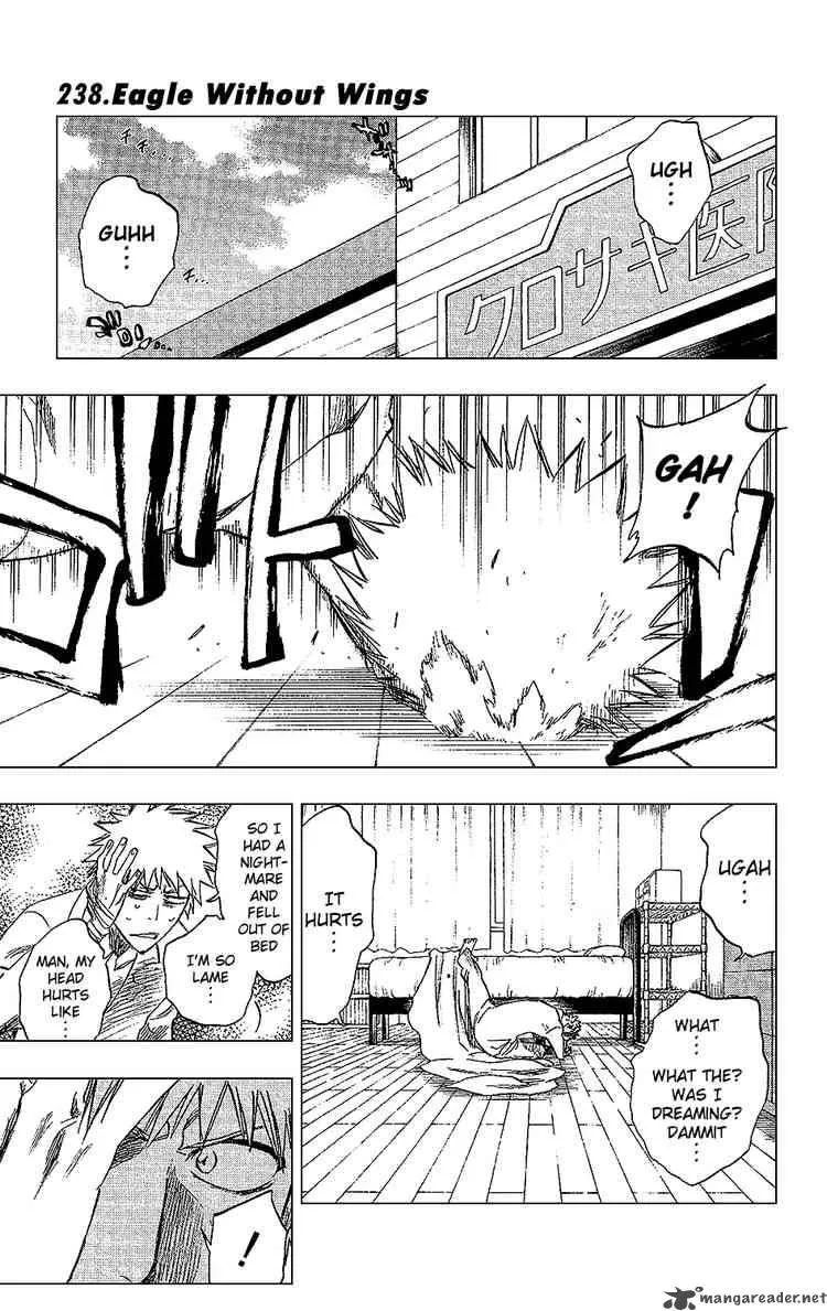 Bleach Chapter 238 page 1
