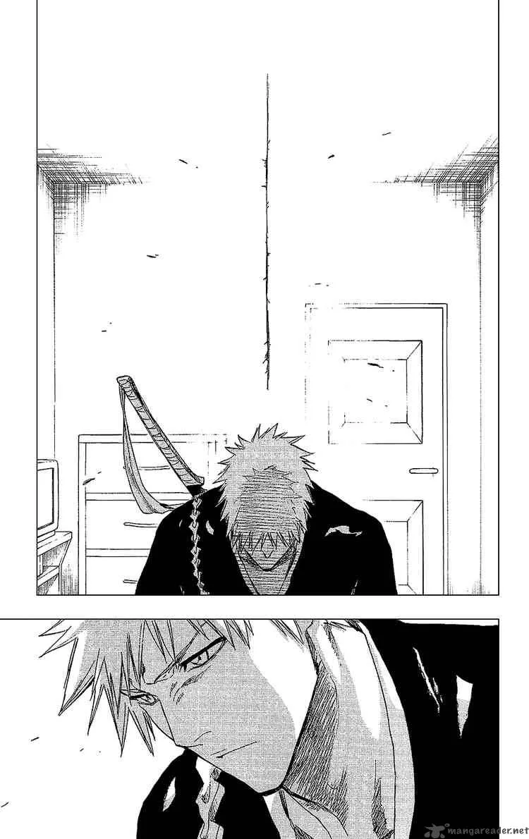 Bleach Chapter 238 page 18