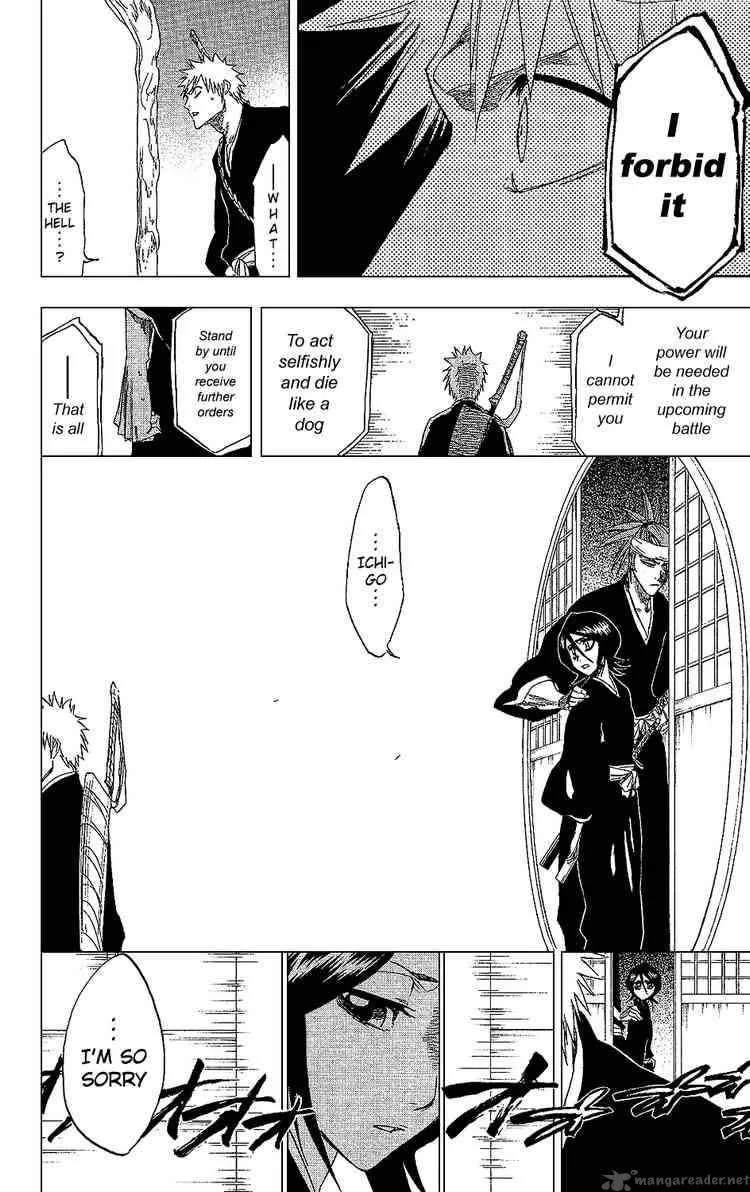 Bleach Chapter 238 page 17