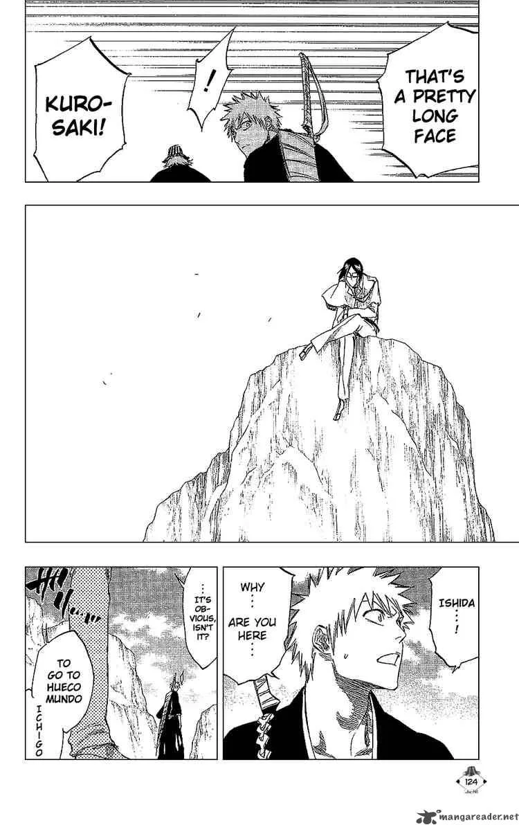 Bleach Chapter 239 page 17
