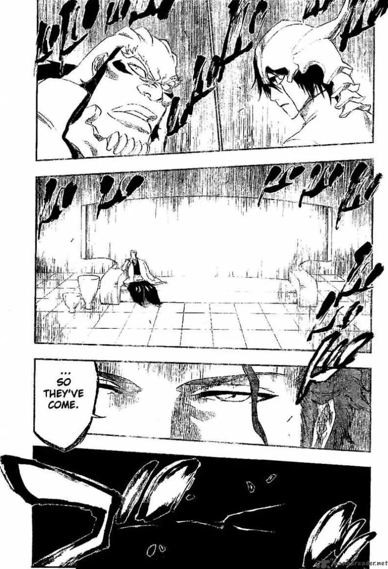 Bleach Chapter 241 page 18