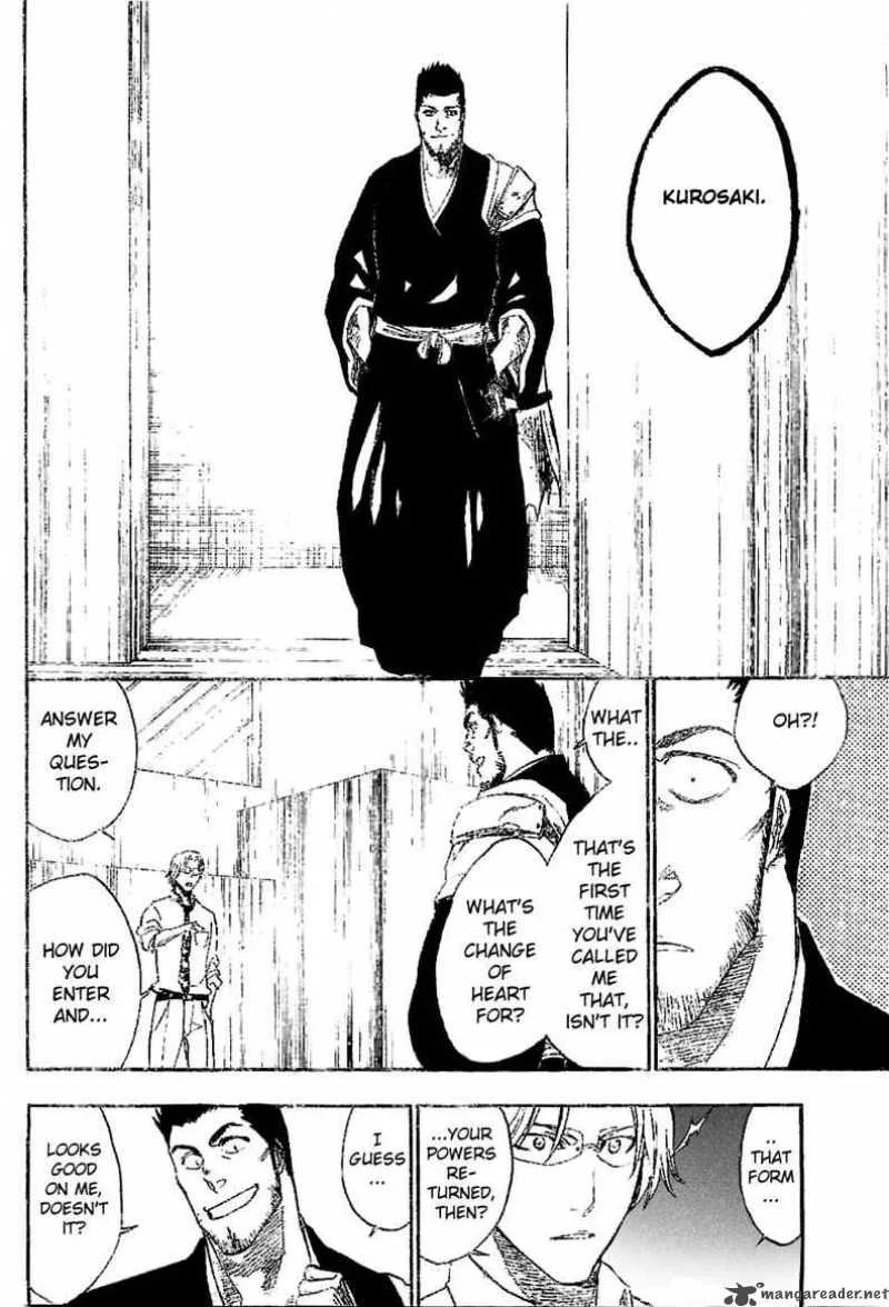 Bleach Chapter 241 page 13