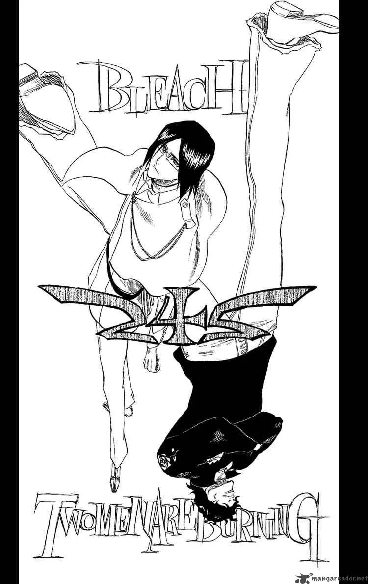 Bleach Chapter 242 page 6