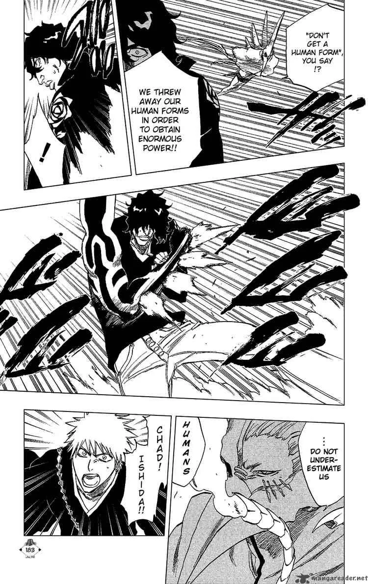 Bleach Chapter 242 page 13