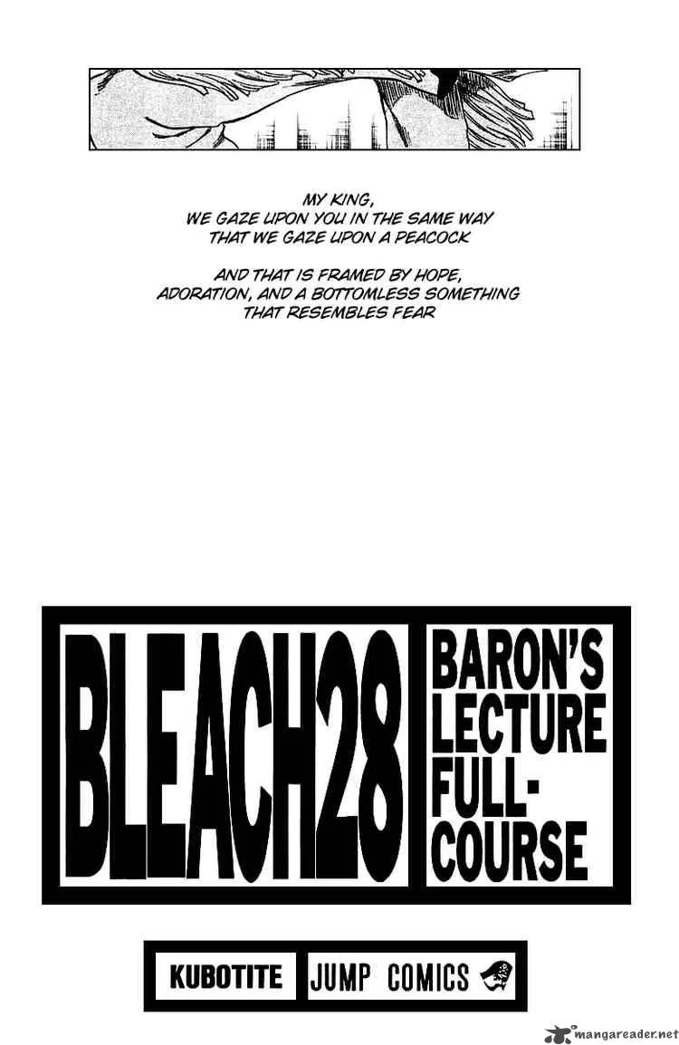 Bleach Chapter 243 page 3